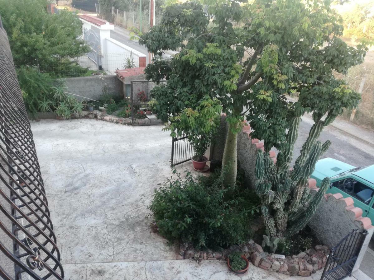 洛特佐莱Il Giardino公寓 外观 照片